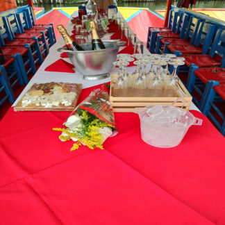 Celebración especial.