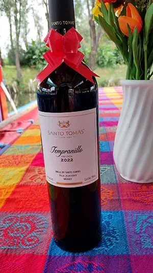 Botella de vino Tempranillo